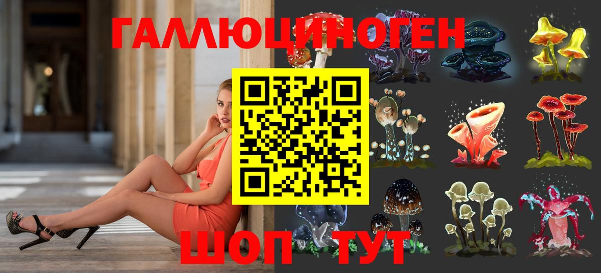 Псилоцибиновые грибы прущие грибы Старый Оскол