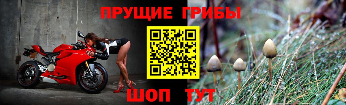 Старый Оскол  Галлюциногенные грибы прущие грибы  Вход с VPN 